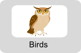 Learn KANNADA Birds/ Picture dictionary